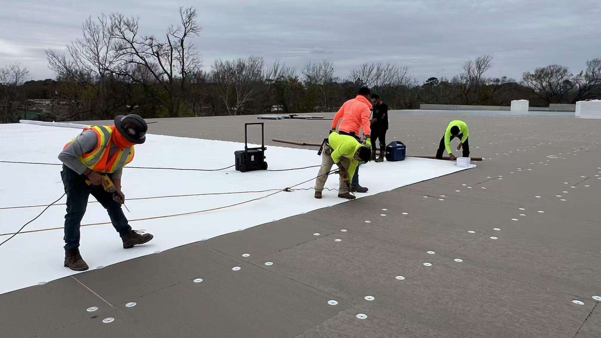 ለምን ፖሊሶ?